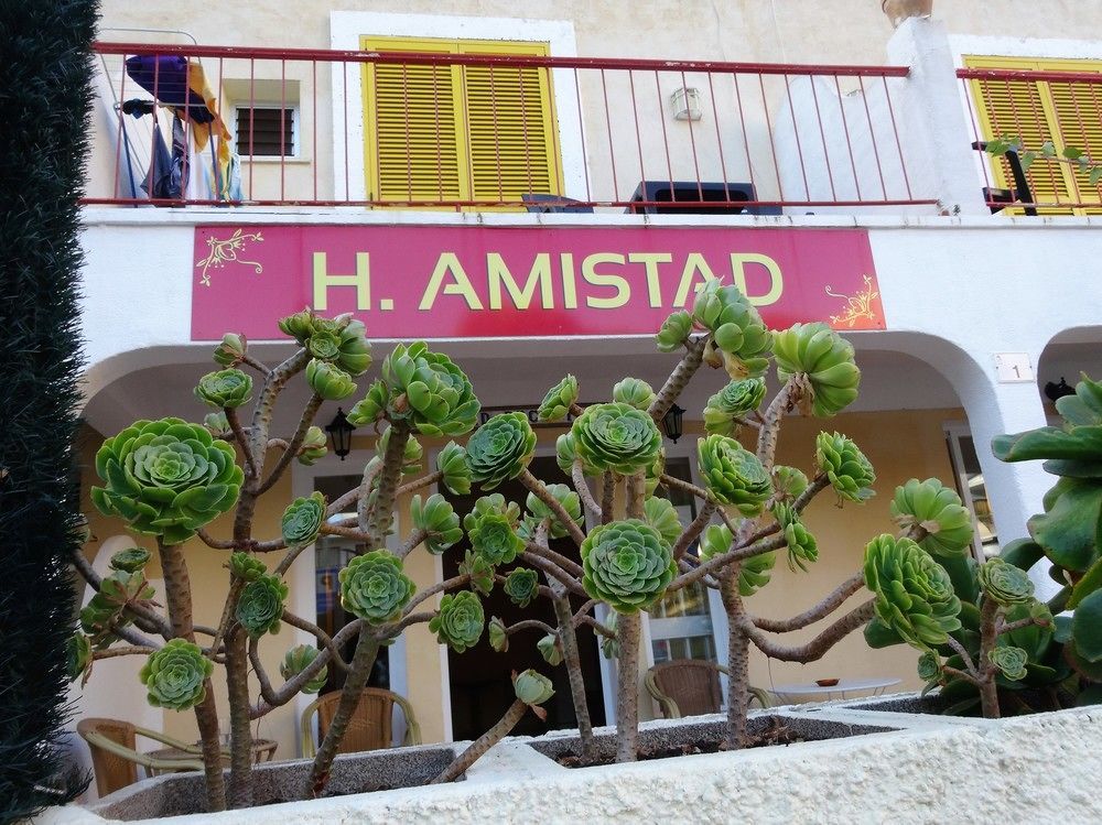 Flor Amistad باغيرا المظهر الخارجي الصورة